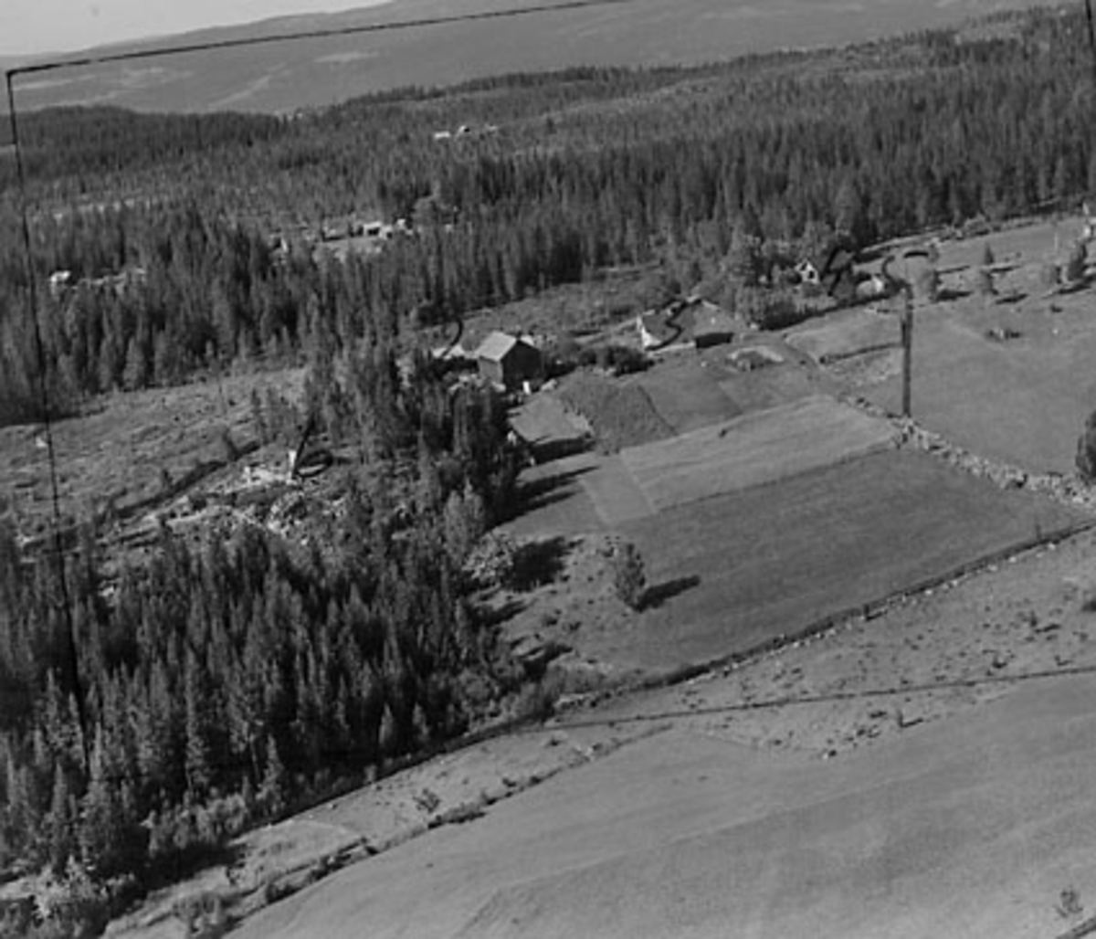 Widerøes Flyveselskap A/S, FLYFOTO VESTENG