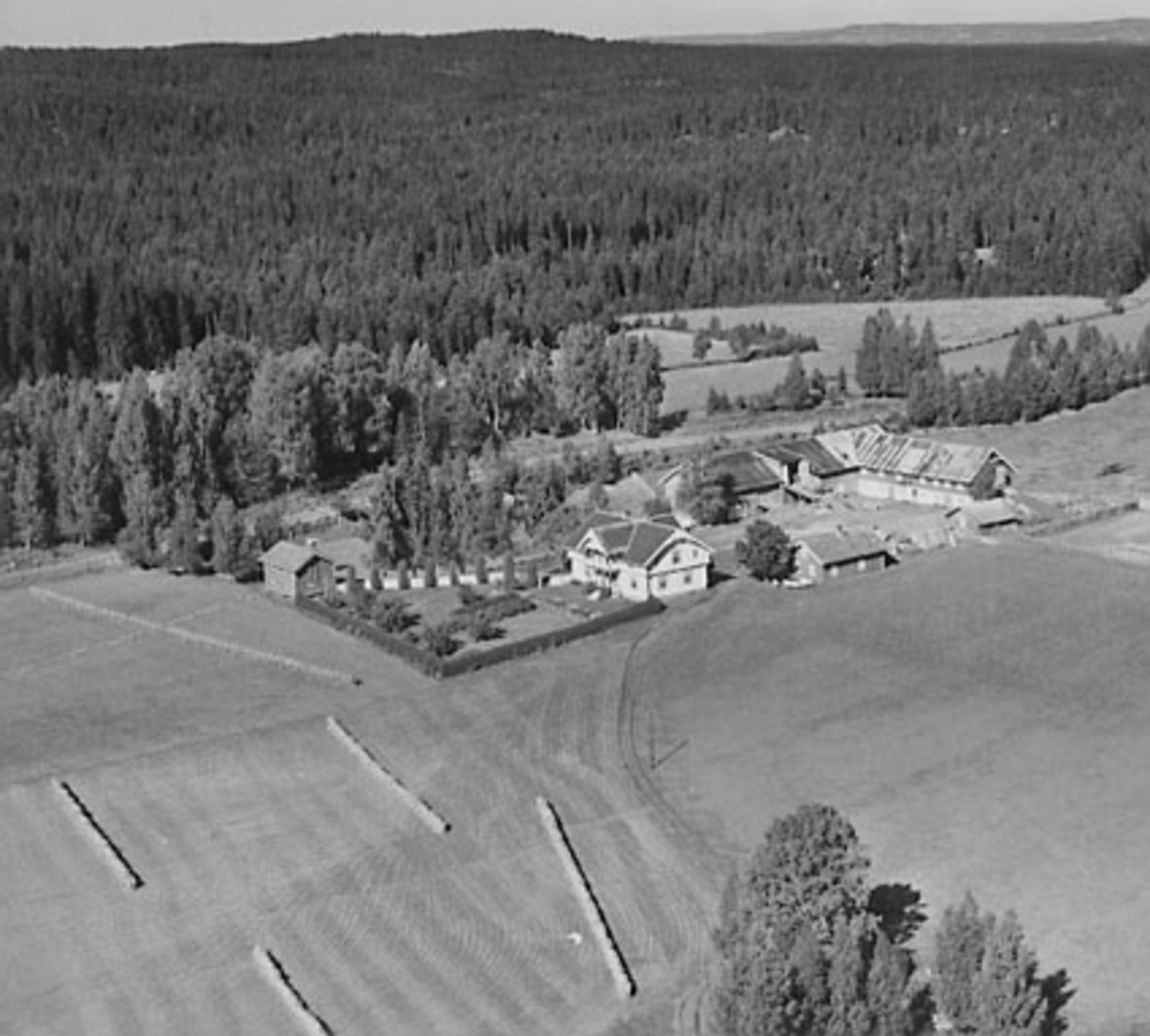 Widerøes Flyveselskap A/S, FLYFOTO ELLINGRUD, VALLSET