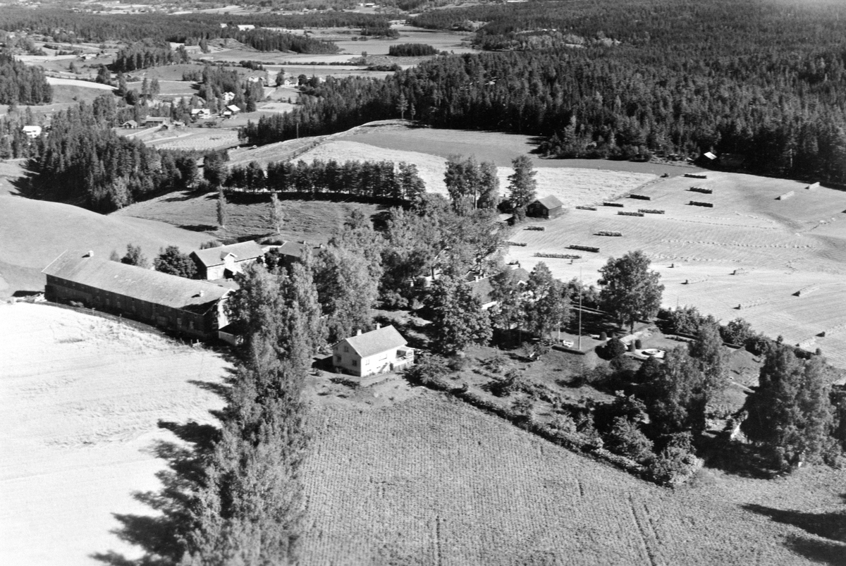 Widerøes Flyveselskap A/S, FLYFOTO HOV, TANGEN