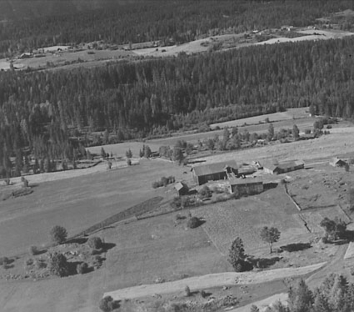 Widerøes Flyveselskap A/S, FLYFOTO HAUG NORDRE, TANGEN