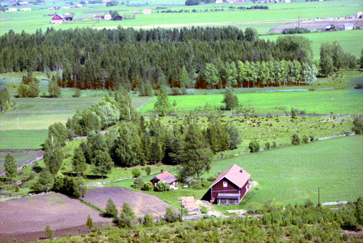 Widerøes Flyveselskap A/S, FLYFOTO DALBY