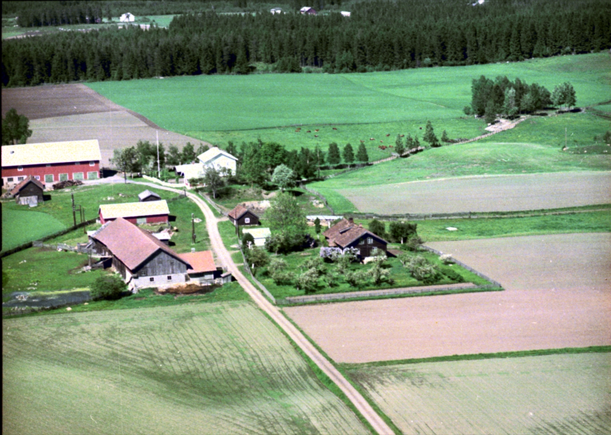 Widerøes Flyveselskap A/S, FLYFOTO RØNE NORDRE