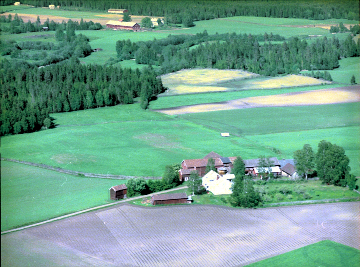 Widerøes Flyveselskap A/S, FLYFOTO BERG, ILSENG