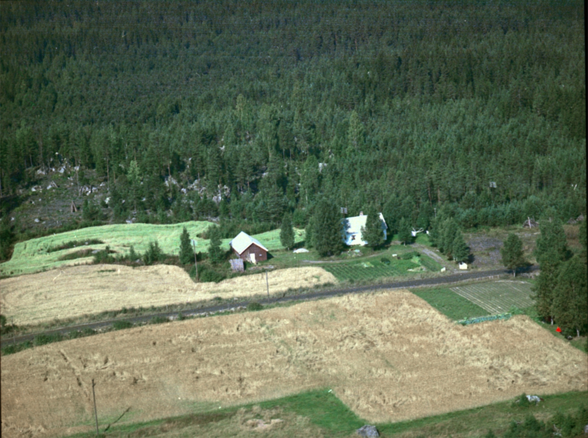 Widerøes Flyveselskap A/S, FLYFOTO VINJE, TANGEN