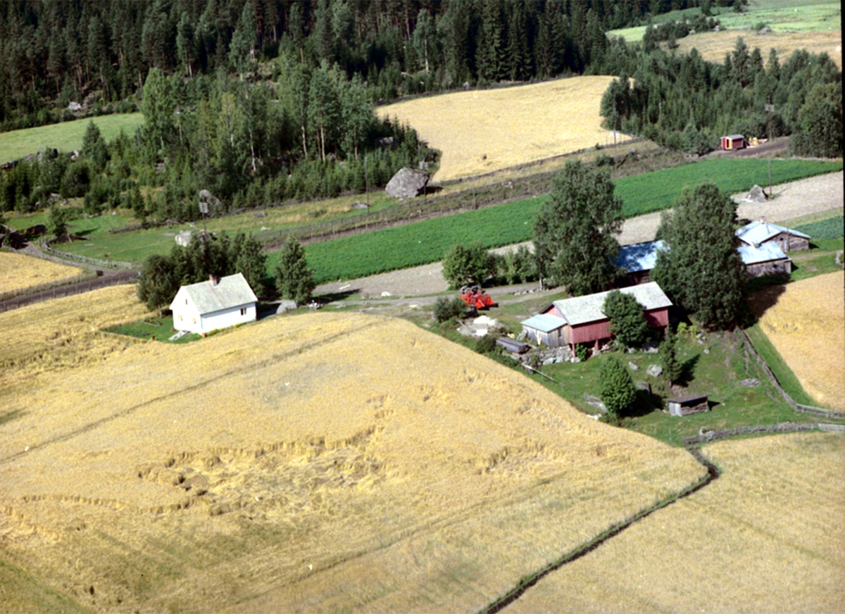 Widerøes Flyveselskap A/S, FLYFOTO NYMOEN, TANGEN