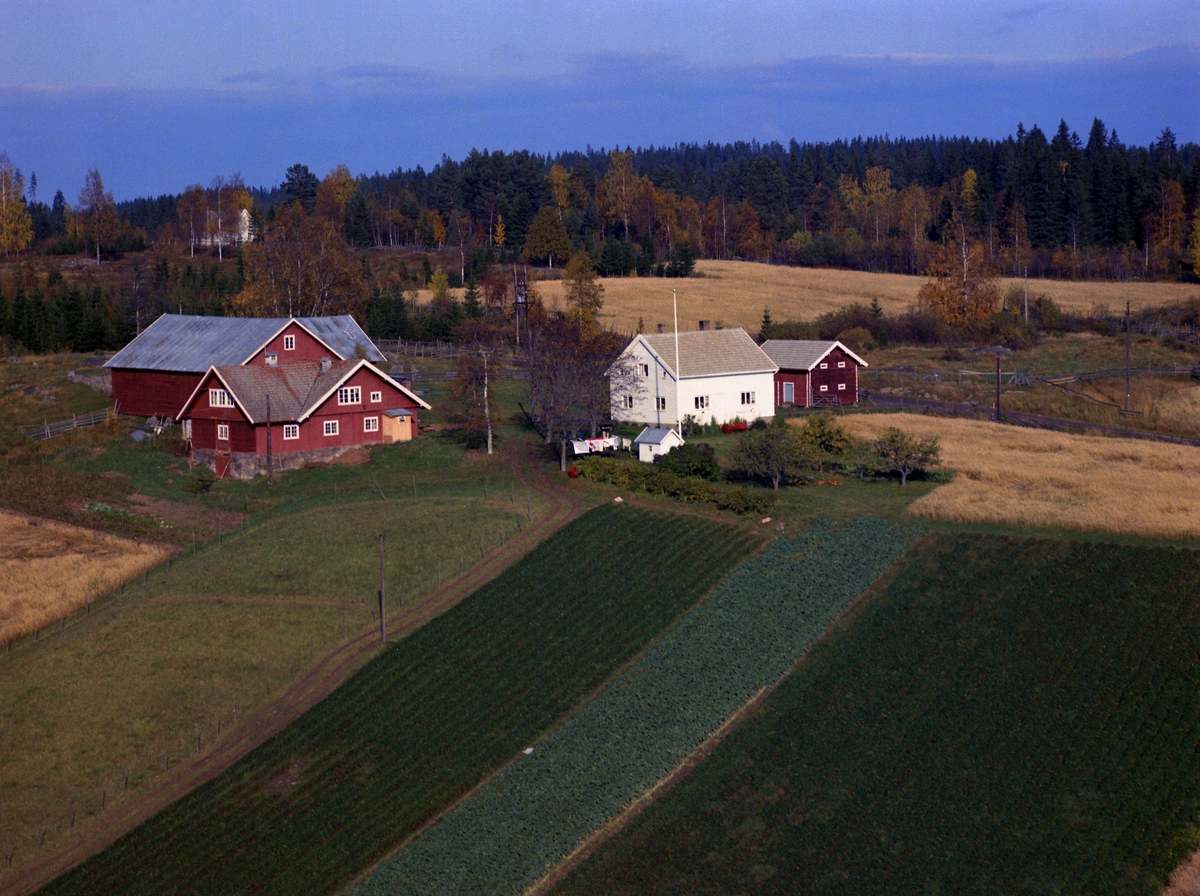 Widerøes Flyveselskap A/S, FLYFOTO HVAL ØVRE NORDRE, ØDEGÅRDEN, VALLSET