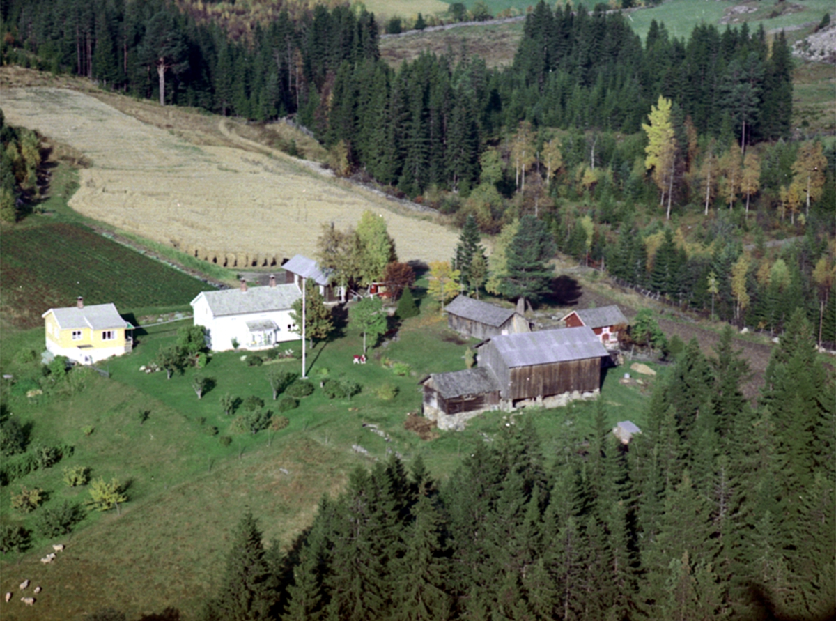 Widerøes Flyveselskap A/S, FLYFOTO TRONSRUD, ÅSVANG