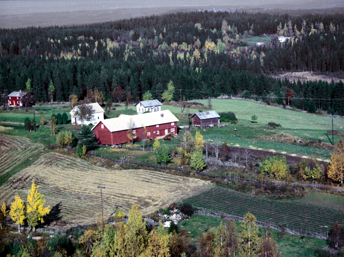 Widerøes Flyveselskap A/S, FLYFOTO HØGÅSEN, HOGGAASEN, ÅSVANG