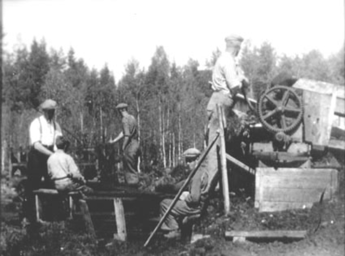 Anno Domkirkeodden, BRENNTORVPRODUKSJON, FOLK ARBEIDER, VALLSET, "STORMOSEN", STANGE ALLMENNING