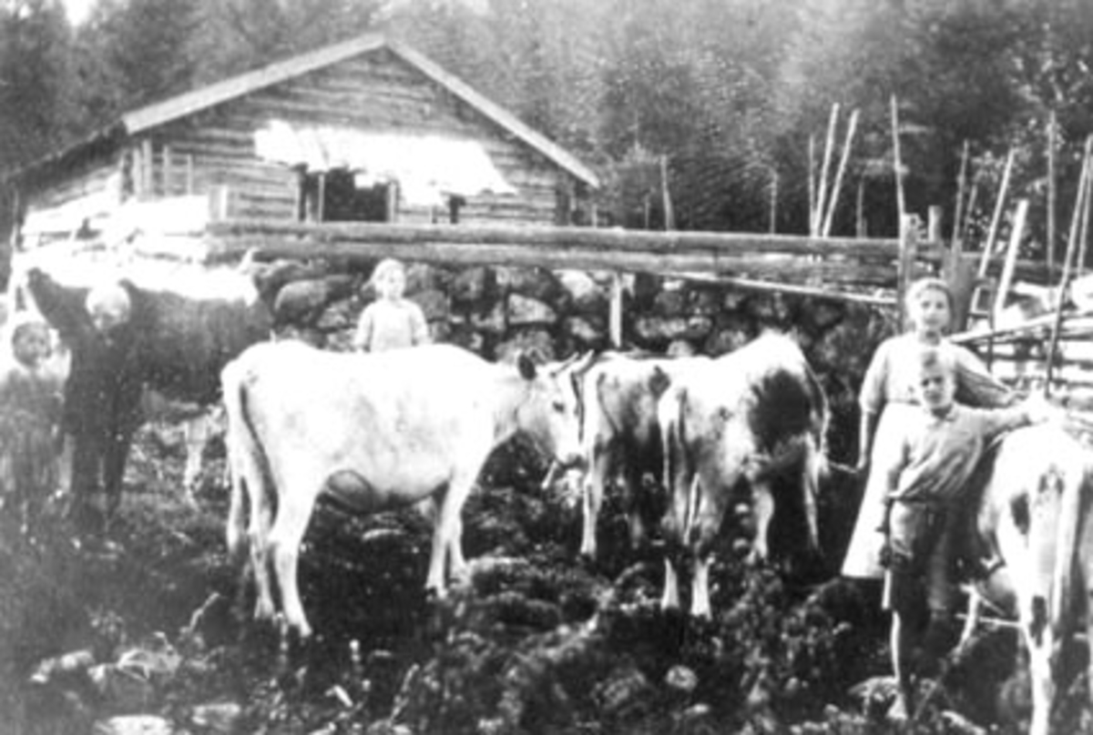 Anno Domkirkeodden, EKSTERIØR: SOMMERFJØS, SLEPPEN, GRUPPE 5 BARN FRA VENSTRE: ANNA FOSSHEIM, ARNE SLEPPEN, PETRA KILÈN, BORGHILD HELLUM, WALTER JOHANSEN, KUER, TANGEN