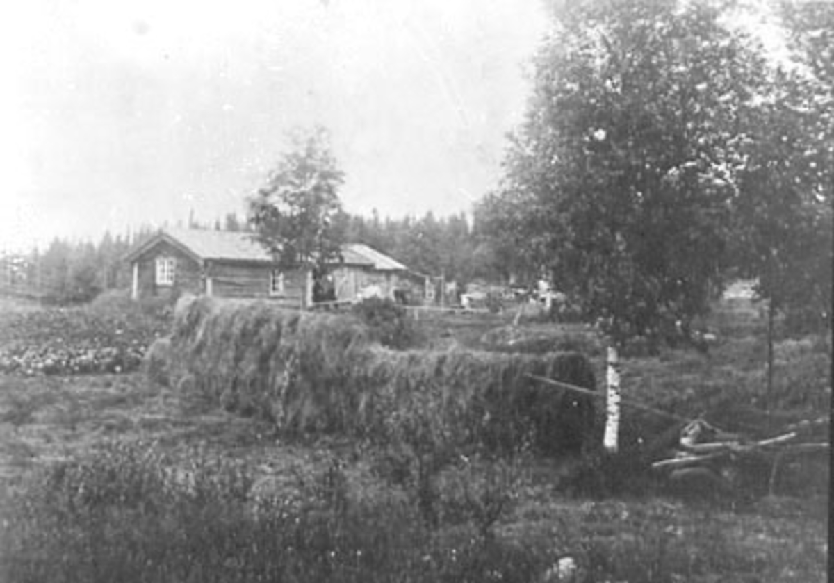 Anno Domkirkeodden, EKSTERIØR: DAMLØKKEN, FJØS OG BOLIGHUS MED SAMME INNGANG, GRUPPE: 5 FORAN: ALFRED OLSEN, UKJENT, REGINE LILLELØKKEN, OLE LILLELØKKEN, PAULINE LILLELØKKEN, ÅSBYGDA