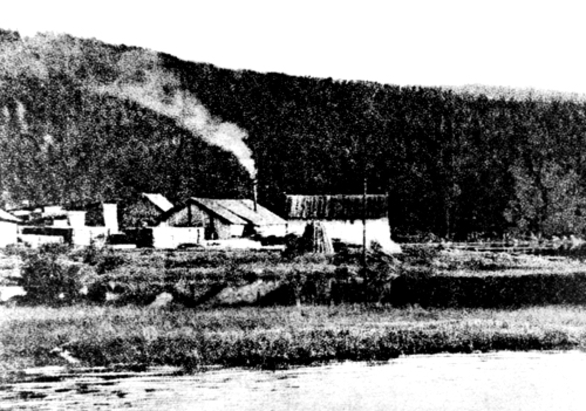 Anno Domkirkeodden, VALLSET SAG, SAGBRUK, VALLSETRASTER