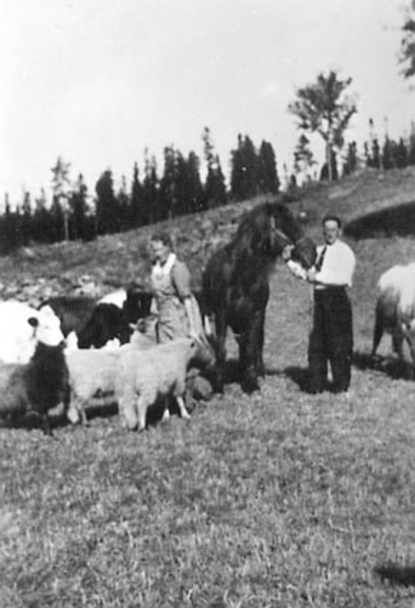 Anno Domkirkeodden, GRUPPE: 2, ESTER KILDALEN, HELMER KILDALEN, OMGITT AV DYR, HEST, SAU, KU, KJERNLI,
