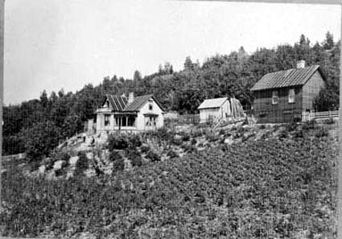 Anno Domkirkeodden, EKSTERIØR: BOLIG, VILLA SEVILLA, ESPA
