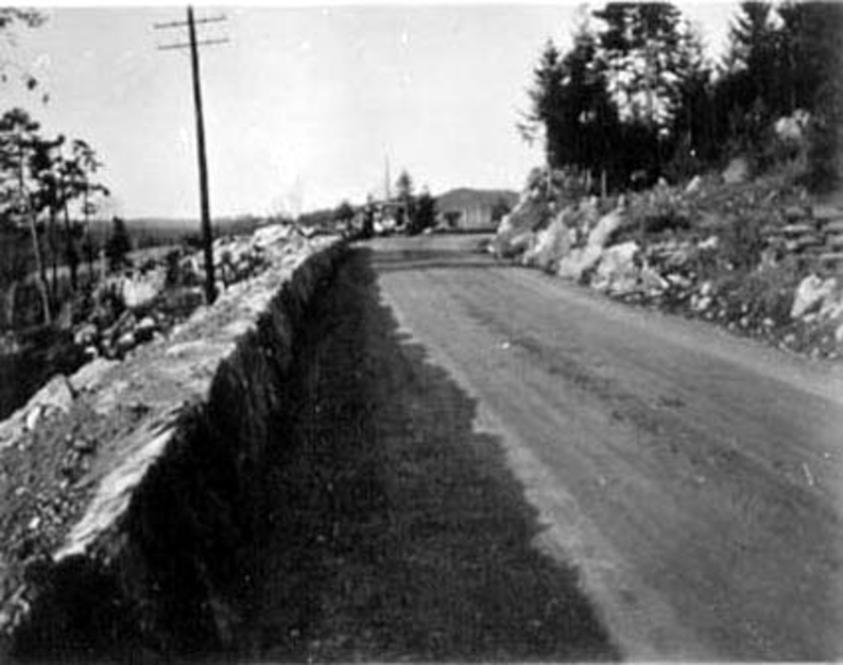 Anno Domkirkeodden, RIKSVEG 50, ANLEGGET EIDSVOLD GRENSE-NYSLE, SØR FOR KORSØDEGÅRDEN, TANGEN,