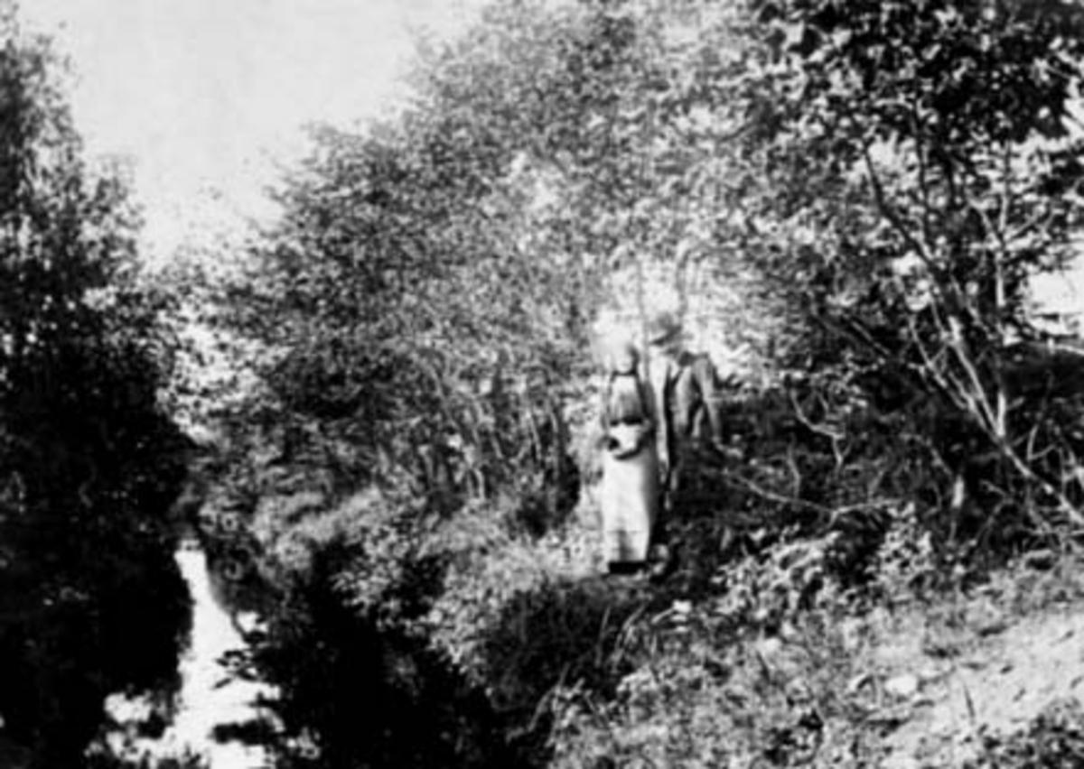Anno Domkirkeodden, GRUPPE : 2, UKJENT DAME, NILS CHRISTENSEN ARNEBERG FØDT: 1848-1908, NORDRE ARNEBERG, ROMEDAL,