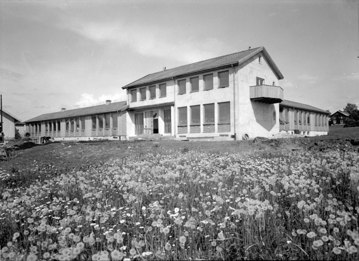 Anno Domkirkeodden, EKSTERIØR: ARSTAD SKOLE, NY, OTTESTAD