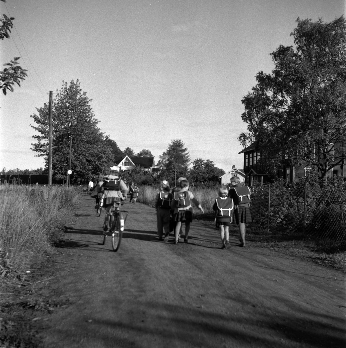 Anno Domkirkeodden, SKOLEBARN, ELEVER, SYKLER, SKOLEGATA,