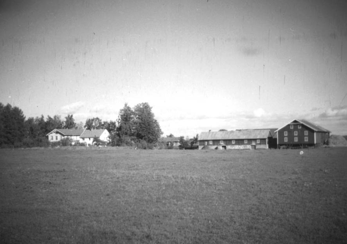 Anno Domkirkeodden, OVERSIKT, GARDSTUN, LINDSTAD GÅRD,