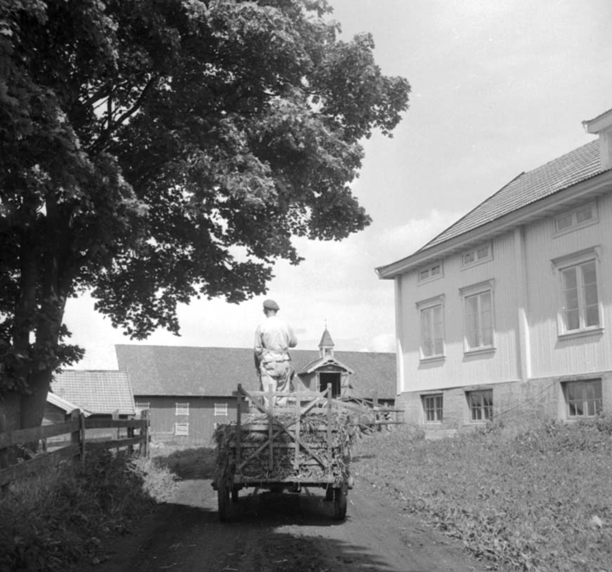 Anno Domkirkeodden, EKSTERIØR: GARDSTUN, FOKHOL GÅRD,