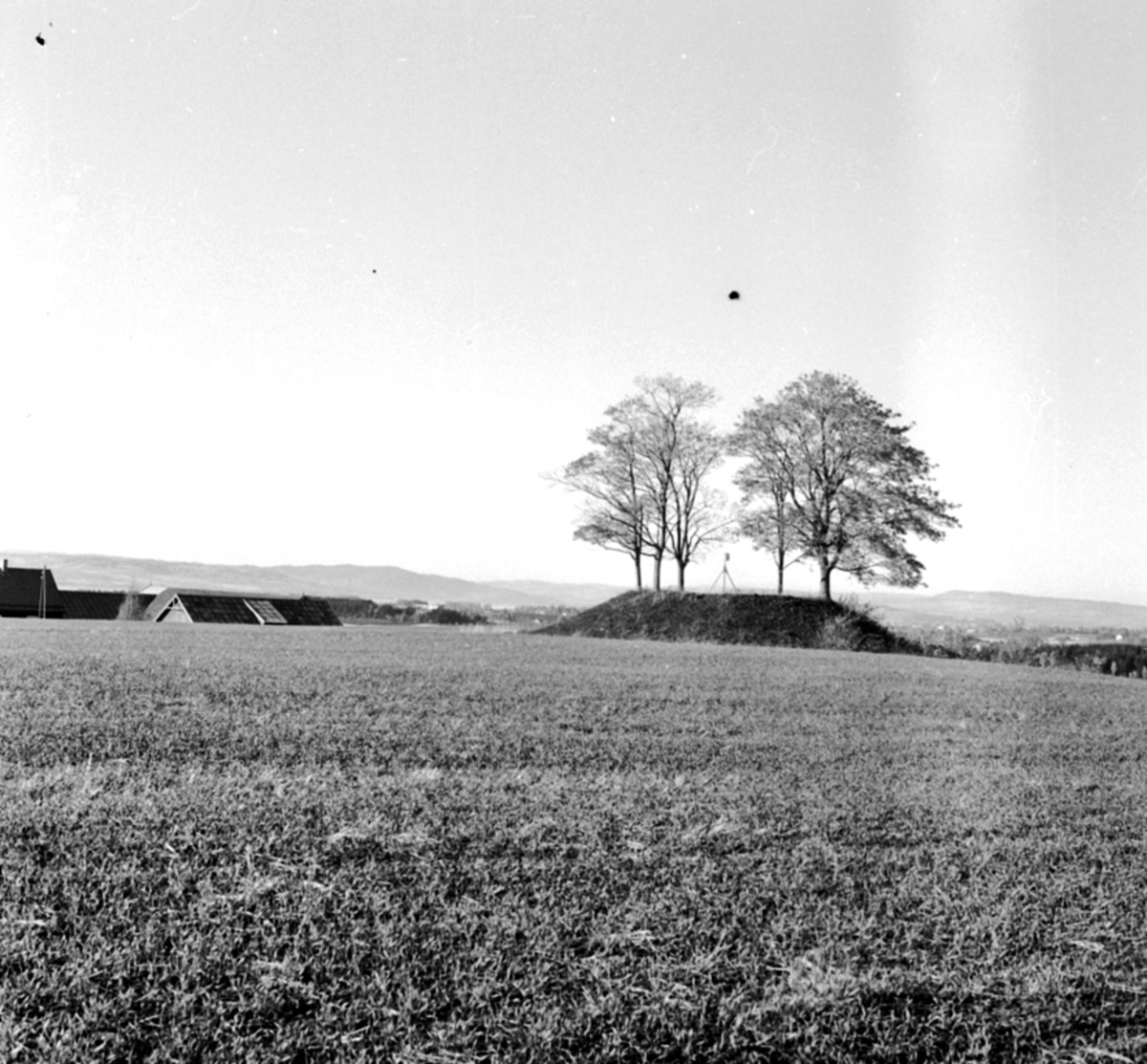 Anno Domkirkeodden, LALUM GRAVHAUG,
