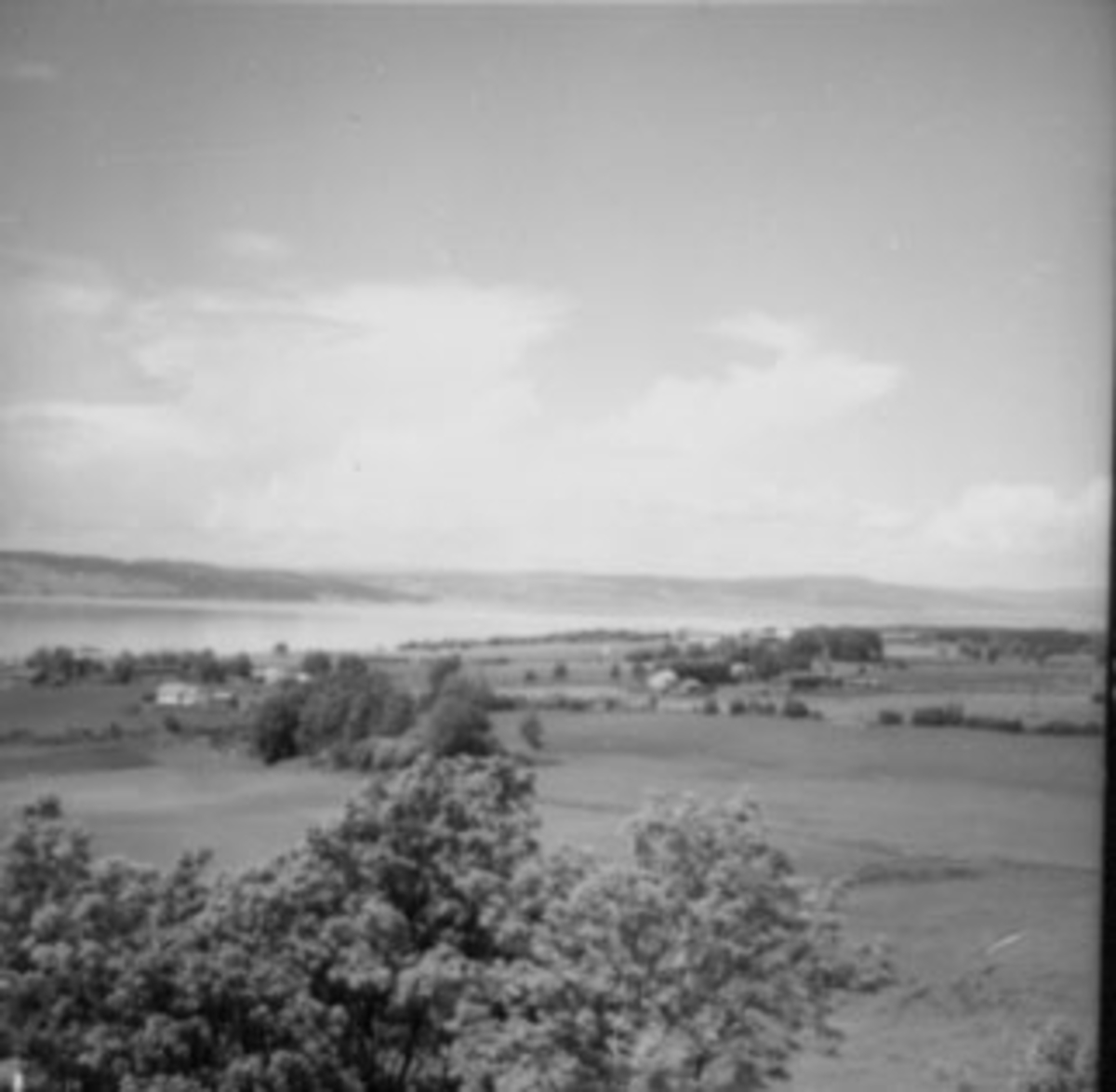 Anno Domkirkeodden, UTSIKT FRA TÅRNET, STANGE KIRKE, MOT MJØSA,