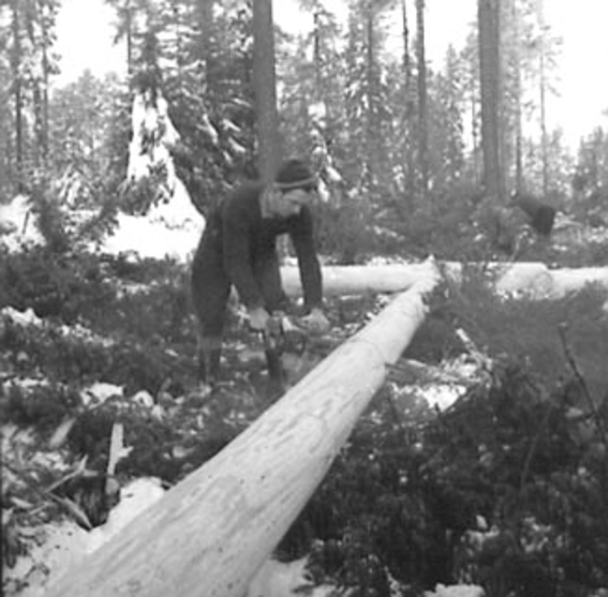 Anno Domkirkeodden, SKOGBRUK, TØMMERMÅLING, MANN MED MOTORSAG, VINTER, SNEKKERSVEDRIFTA, PRESTMARKA, STANGE