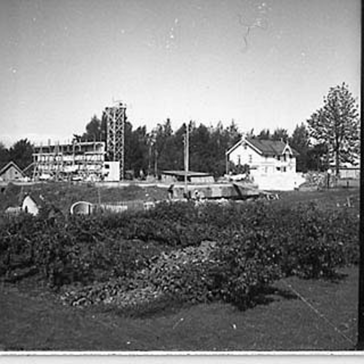 Anno Domkirkeodden, BYGGING AV STANGE REALSKOLE,