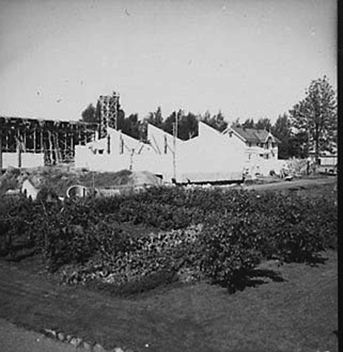 Anno Domkirkeodden, BYGGING AV STANGE REALSKOLE,