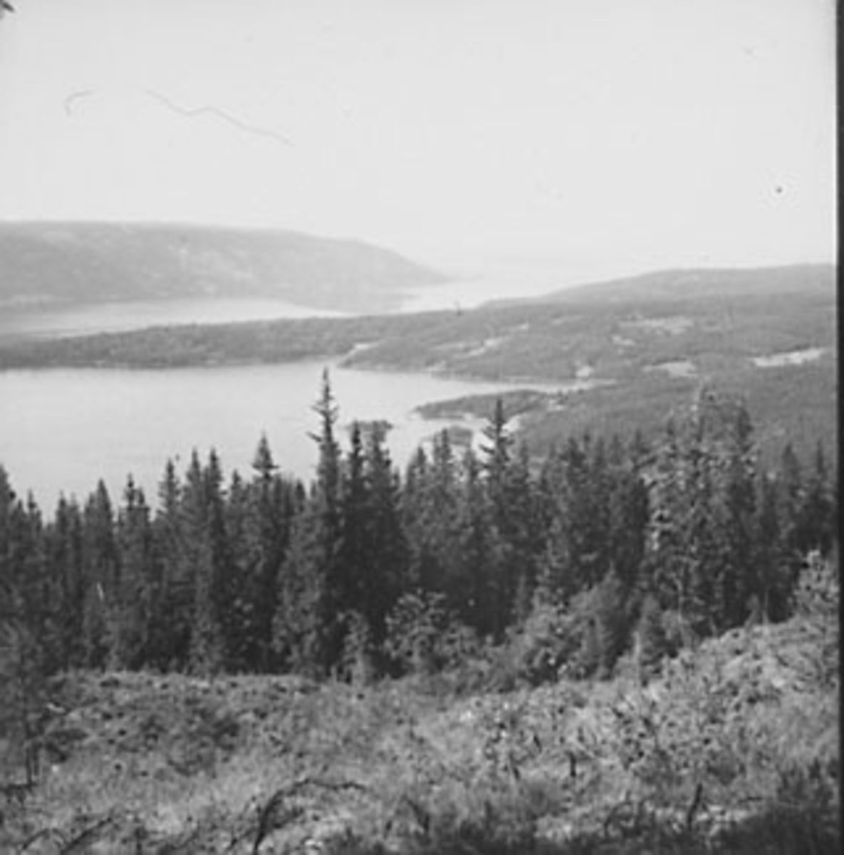 Anno Domkirkeodden, UTSIKT FRA VENSVANGEN, MJØSA, TANGEN