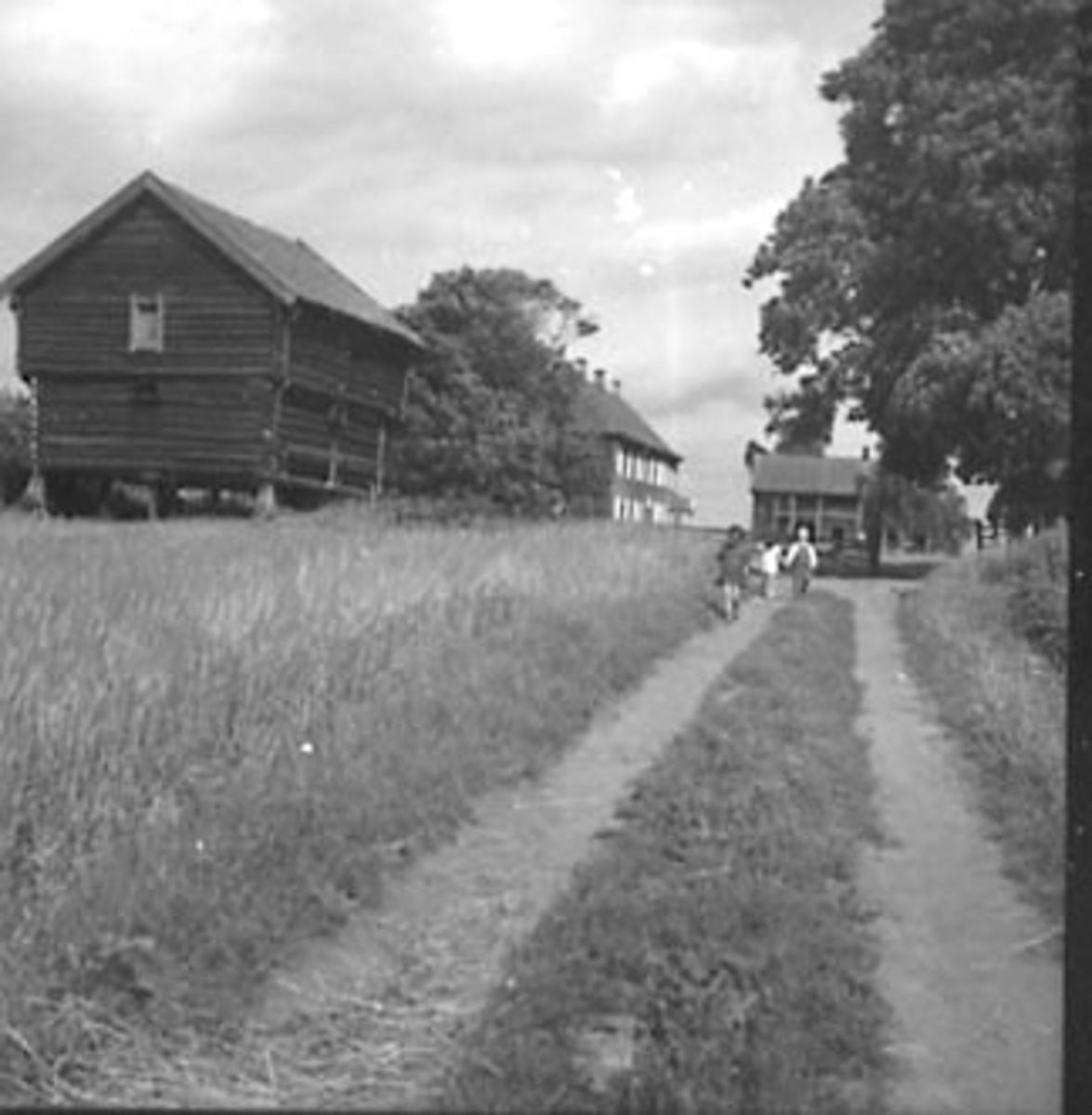 Anno Domkirkeodden, EKSTERIØR: GARDSBRUK, STABBUR, RINGNES GÅRD,