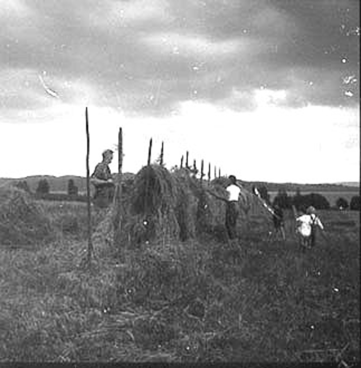 Anno Domkirkeodden, HØYONN, FOLK MED RIVER, HESJER, RINGNES GÅRD,