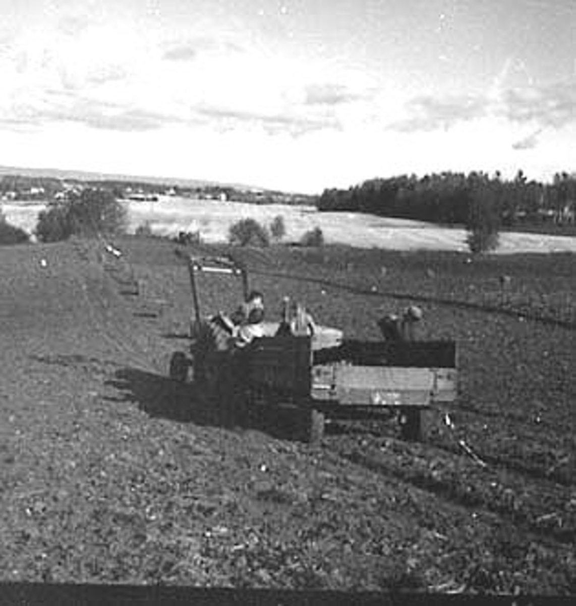 Anno Domkirkeodden, POTETONN, TRAKTOR HENTER POTETKASSER, FOKHOL,