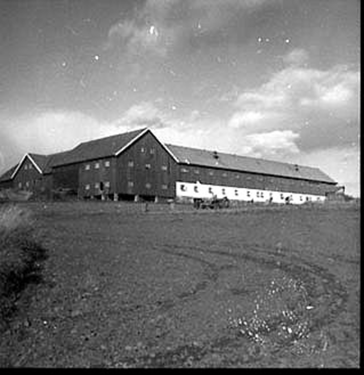 Anno Domkirkeodden, POTETPLUKKING, HUSEBY GÅRD, EKSTERIØR: DRIFTSBYGNING, LÅVE