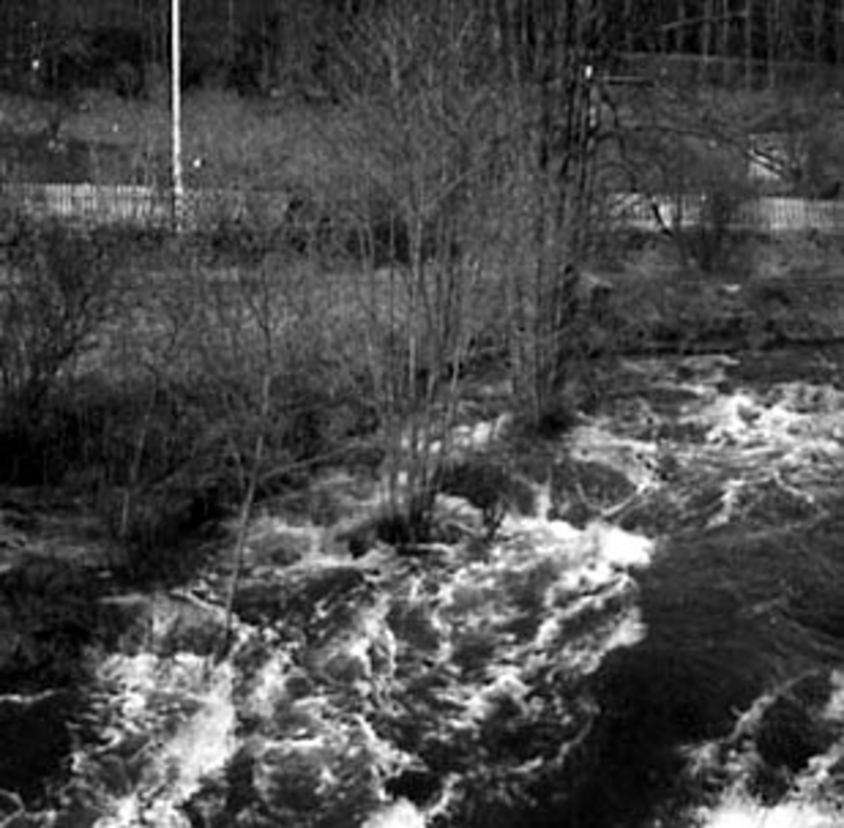 Anno Domkirkeodden, OVERSIKT VIKSELVA, VÅRFLOM, TANGEN