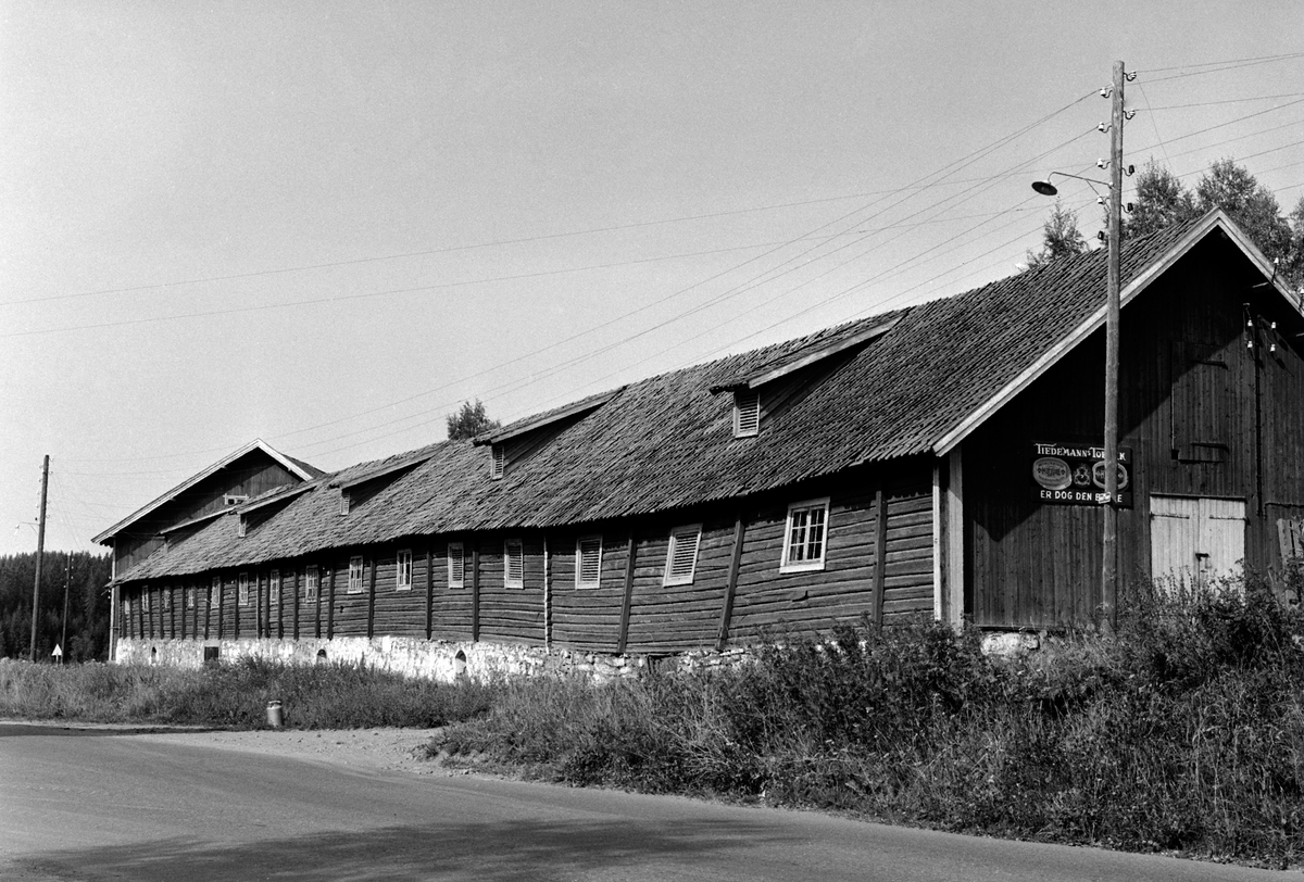 Anno Domkirkeodden, EKSTERIØR: GARDSBRUK, GAMLE OKSEFJØSET, VIK GÅRD, TANGEN,