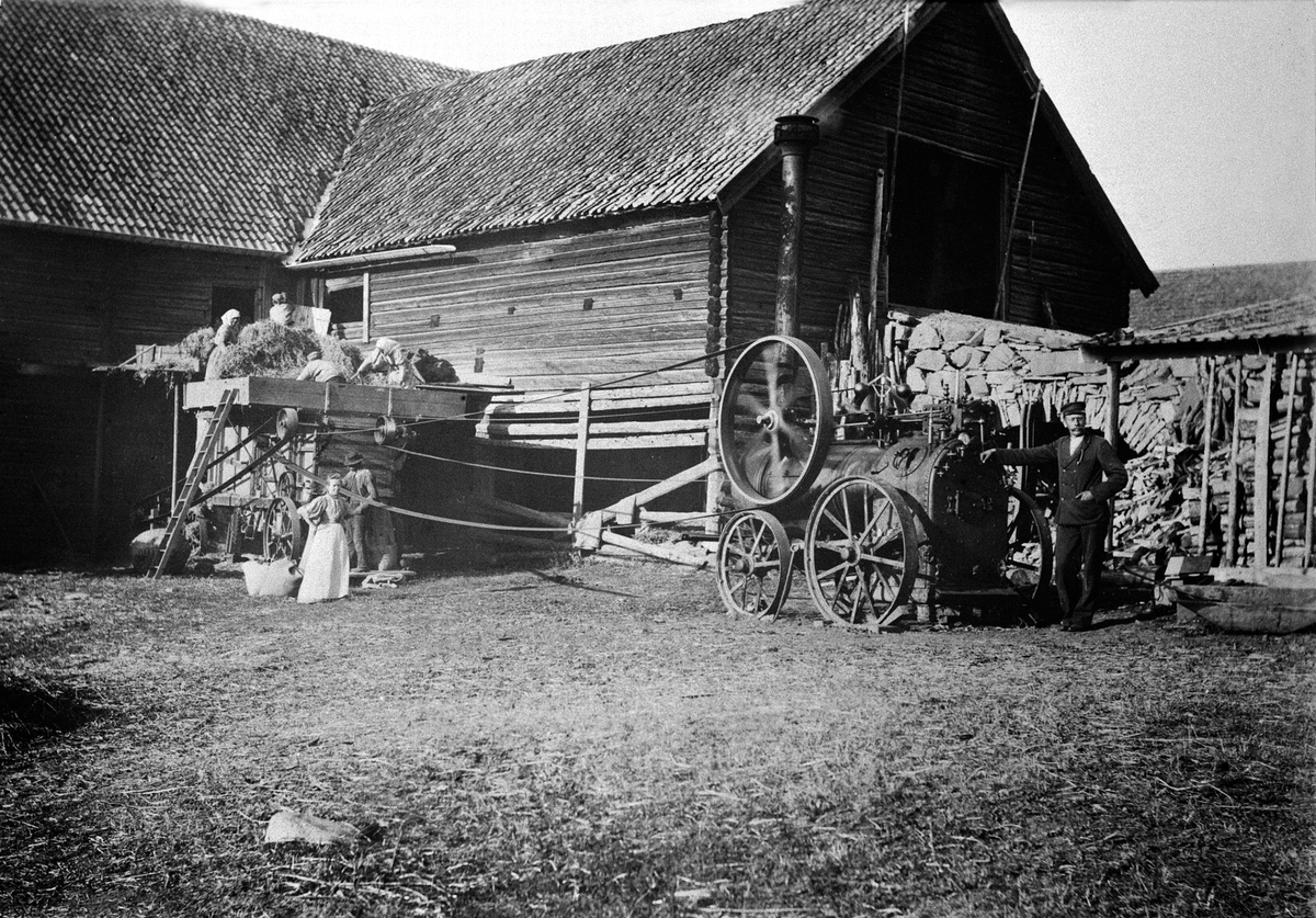Normann Helger, DAMPLOKOMOBIL TREKKER TRESKEVERK, TRØSKELÅVE, TRESKELAG, FOLK, SAKSLUND, MASKINIST ER: EMIL EVENSEN, NAVN PÅ TRESKVERKET: SVERRE I ELLER SVERRE II. ÅR. 1900-1910. Damptreskeverk.