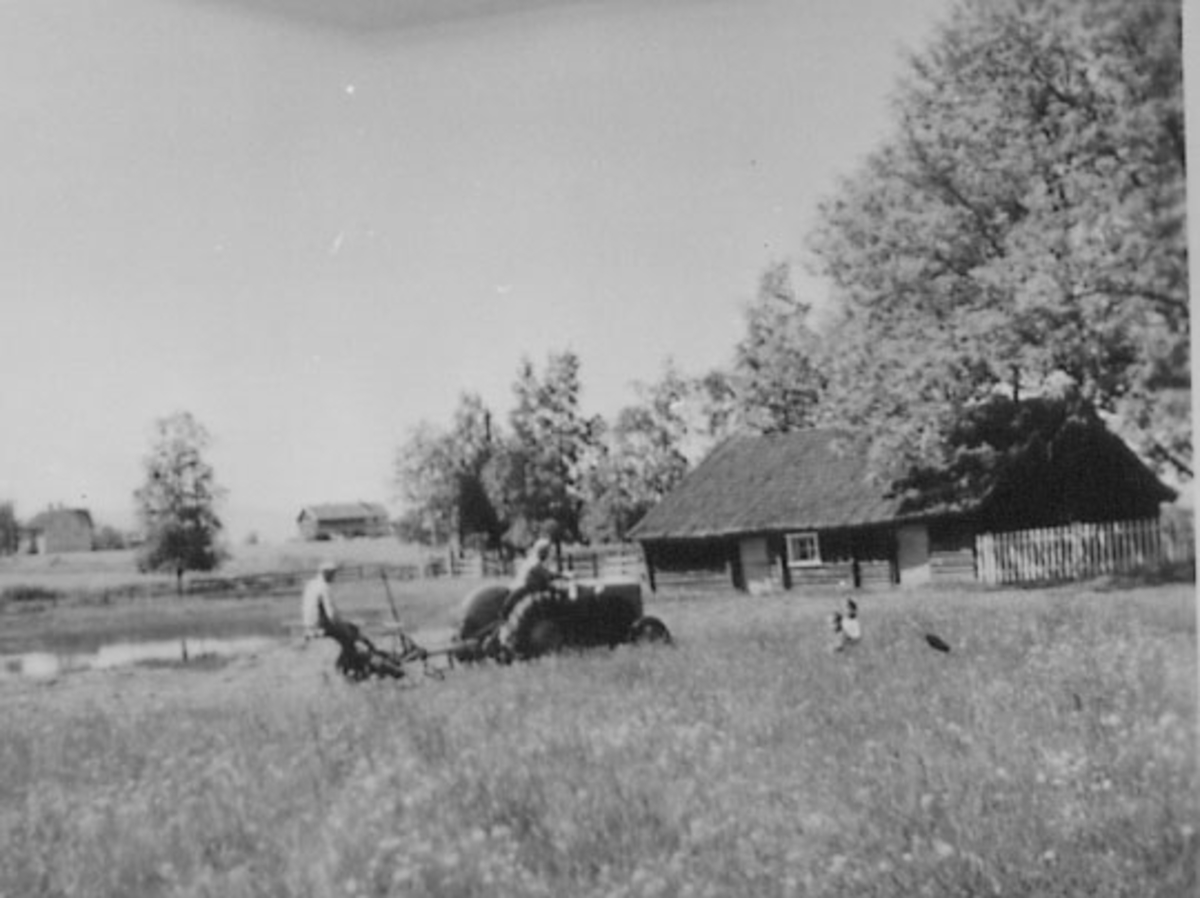 Normann Helger, SLÅTTONN, TRAKTOR MED SLÅMASKIN, BARN, GARDSDAM, SMIE, VÆSTAD GÅRD,