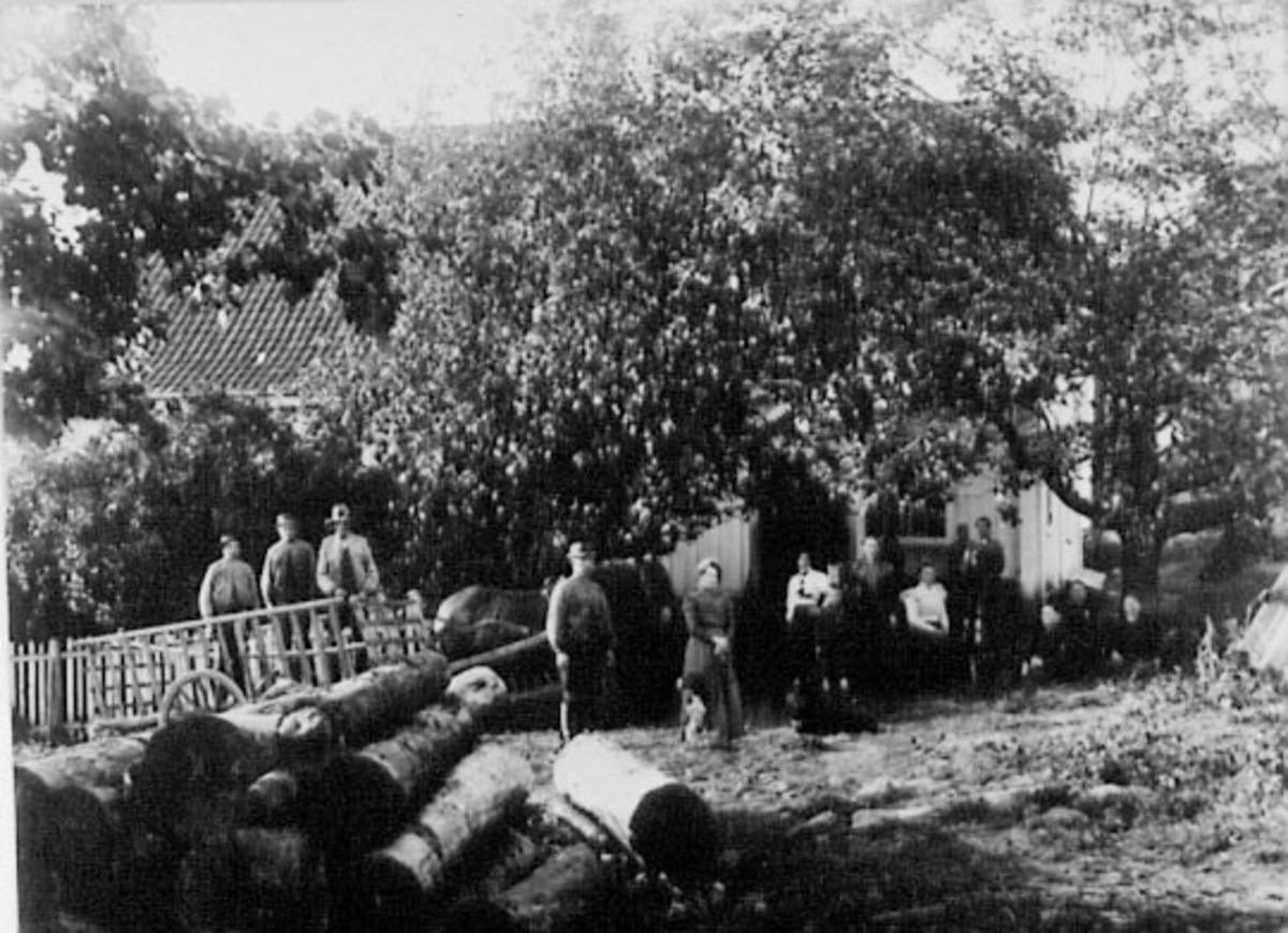 Normann Helger, GARDSBRUK, LUND GÅRD, FAMILIEN LUND, TUN, HEST, KJERRE, FELTE TRÆR, ARBEIDSFOLK.
