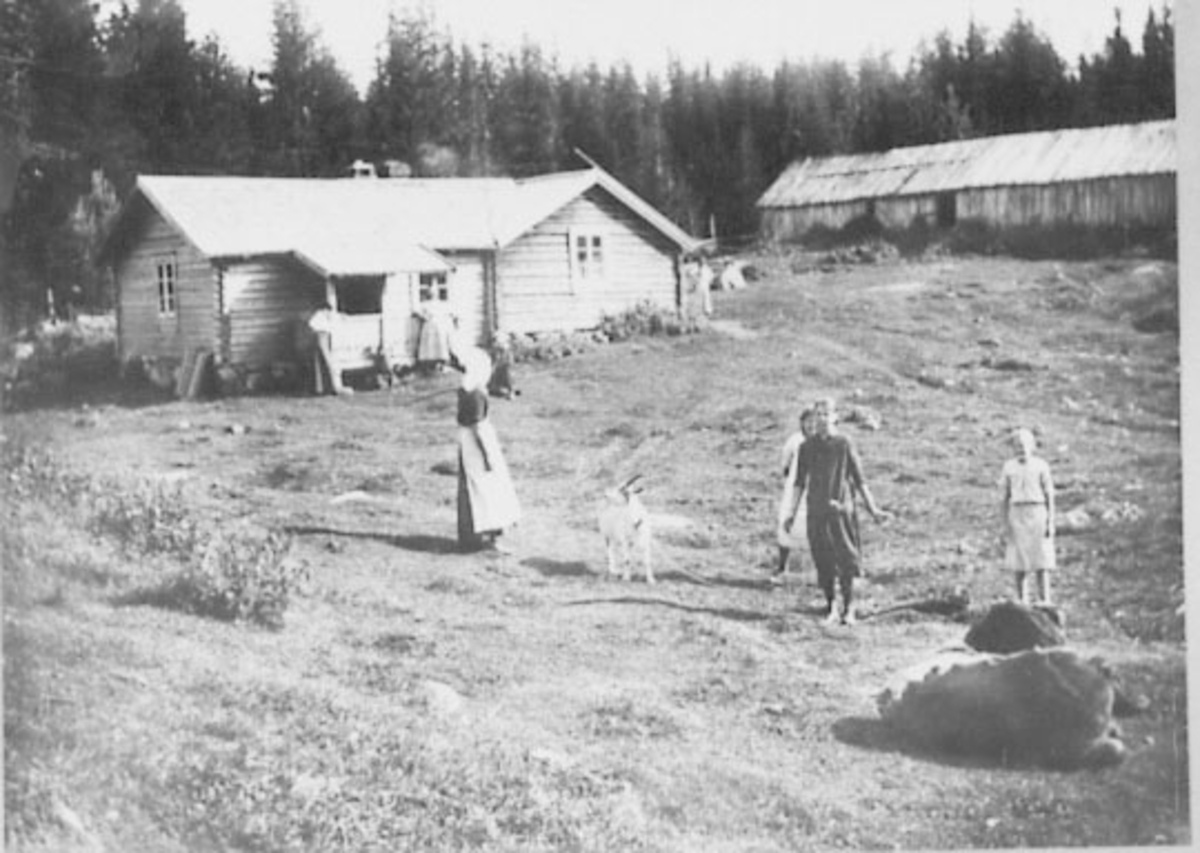 Normann Helger, KU, GEIT, JENTER, BUDEIE, RØNEVANGEN SETER, FAMILIE I FORGRUNNEN, SETER UNDER RØNE SØNDRE, FRA VENSTRE:ELLEN RØNE SETERBUDEIE, OLINE ANDERSEN, FRU HULDA RØNE, FRU LEKTOR ANDERSEN, NILS RØNE (SITTER), AGNES ANDERSEN DATTER AV BUDEIA, KIRSTI RØNE, GIFT : GUTHUS, JANE ANDERSEN.