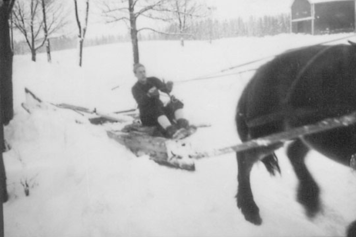 Normann Helger, SNØPLOGKJØRING MED HEST, FJETRE GÅRD, OTTESTAD, VINTER