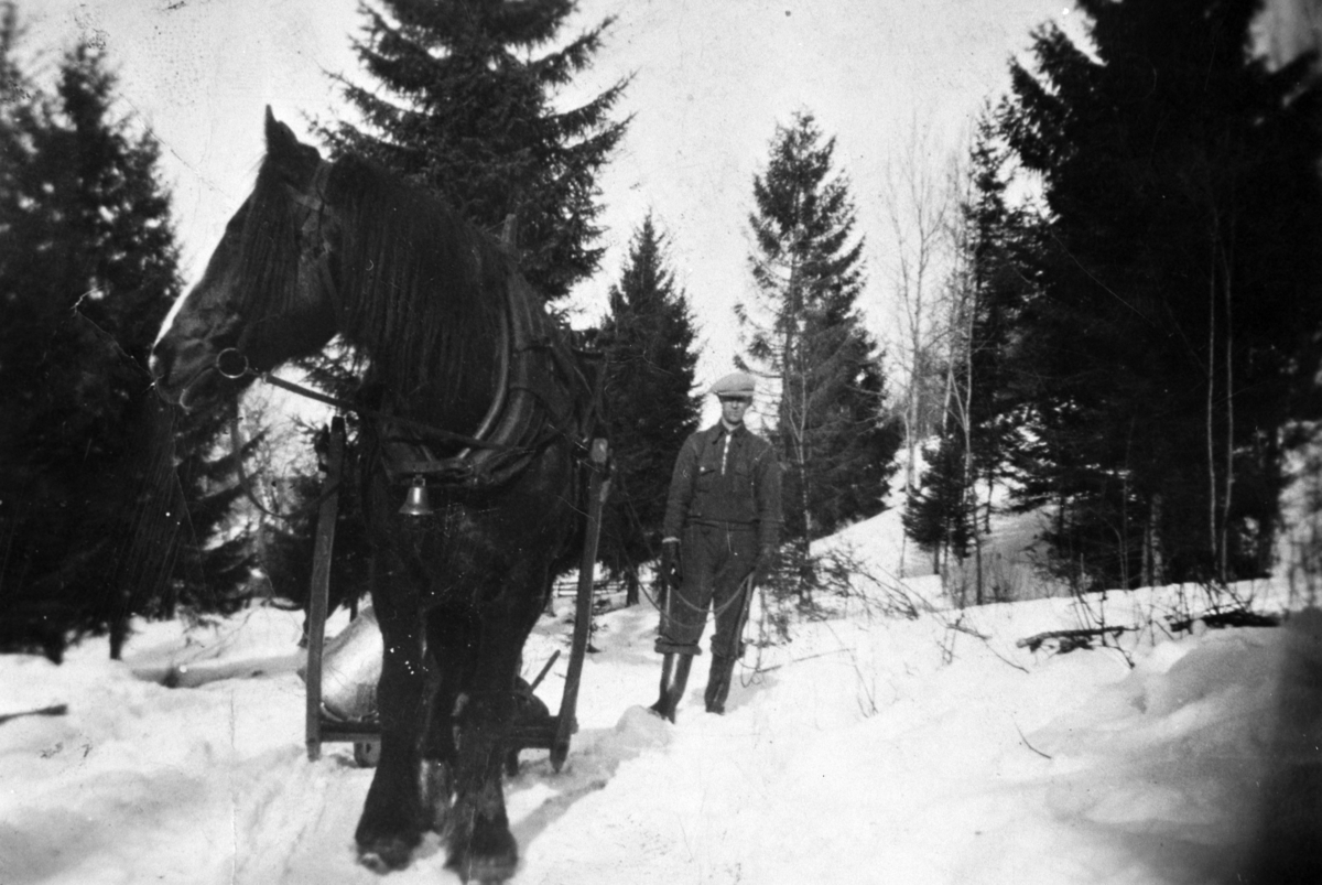 Normann Helger, HEST MED SLEDE, MANN, VINTER, SKOG, OTTESTAD,