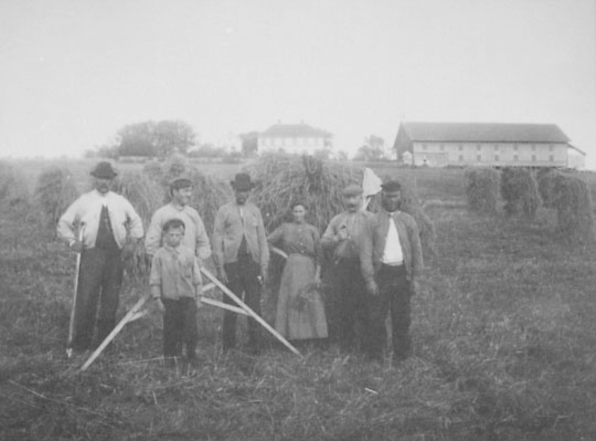 Normann Helger, HØYONN, SLÅTTON GRUPPE: 7, FRA VENSTRE: KRISTIAN RØNNINGEN, OLE KRISTIANSEN, HALVOR ERIKSEN, NILS OLAI HANSEN, MATHEA, GÅRDEIER. BERNT R. POULSEN, LAURITS FREDRIKSEN