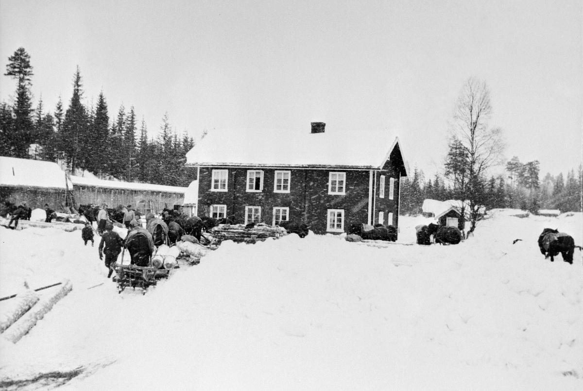 Normann Helger, EKSTERIØR: GAMMELSAGA, SKOGBRUK, VINTER, HESTER TØMMERLØSNING/BOKK & GEIT, STANGE ALLMENNING