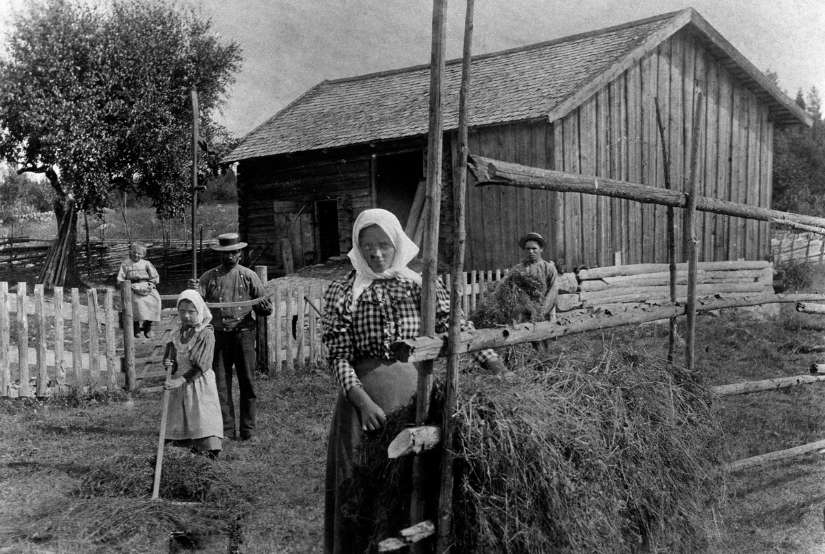 Anno Domkirkeodden, HØYONN, ELINE TILLESDATTER, ELINE VED HØYHENGET, MED RIVA ELI CATHRINE, PÅ GRINDA SIGNE, MANNEN UKJENT, STORVEEN, VALLSET