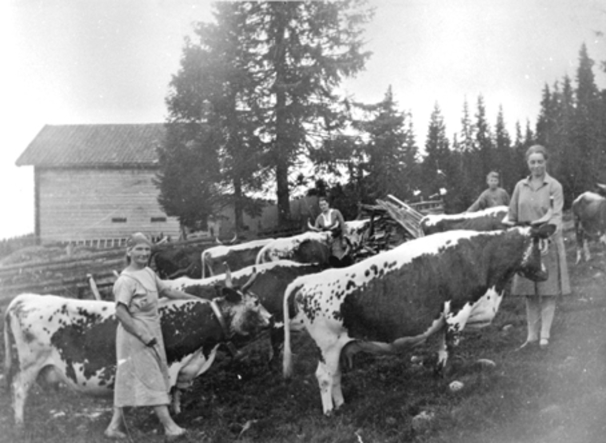 Anno Domkirkeodden, Bergsjøvangen seter i Stange Almenning som tilhører gårdene Kongsparten, Helset og Østby på Tangen. Personene er fra venstre: Evina Helseth, Olaug Enger, Olaf Knudsen og Eli Enger.