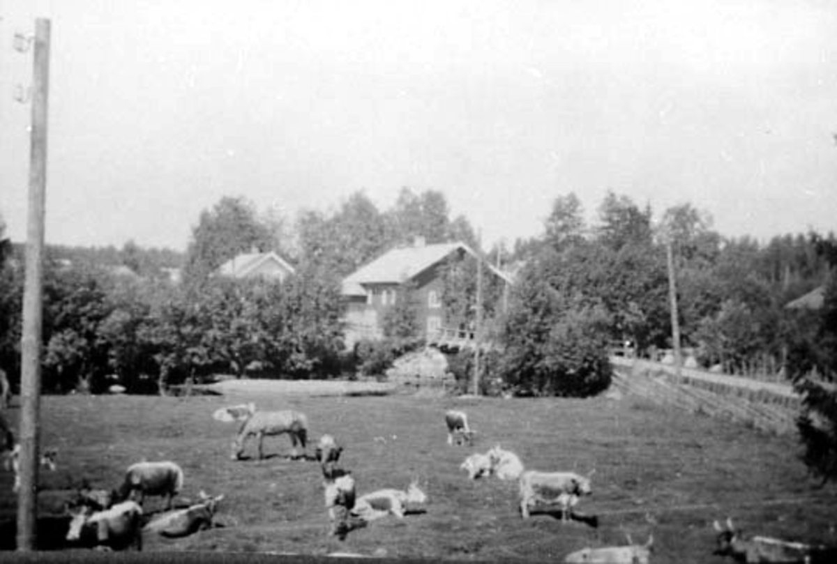 Anno Domkirkeodden, EKSTERIØR: LØKENKVÆRN MØLLE, HESTEHAMNING I FORGRUNNEN
