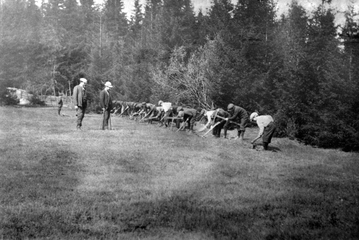 Anno Domkirkeodden, GRUPPE: SKOLEBARN PÅ SKOGPLANTING, BRYHNI SØNDRE, ROMEDAL,