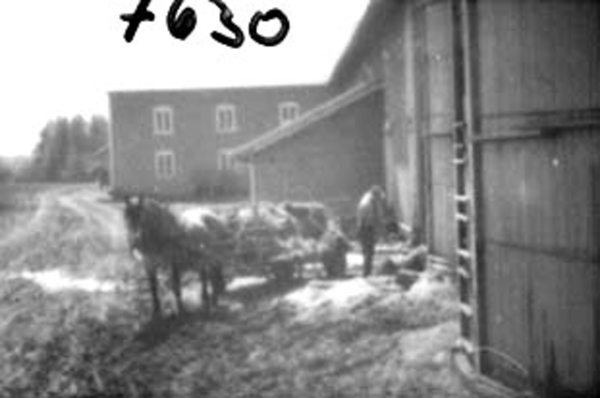Anno Domkirkeodden, TRANSPORT MED HEST MED LASS, STOR DRIFTSBYGNING, ATLUNGSTAD?