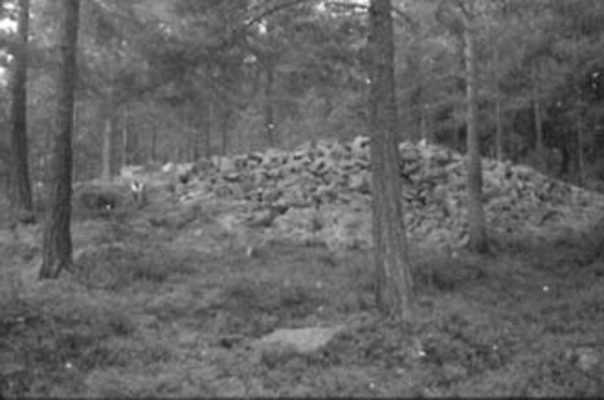 Anno Domkirkeodden, FORTIDSMINNE, FORNMINNE, GRAVRØYS, SOTENODDEN, TANGEN